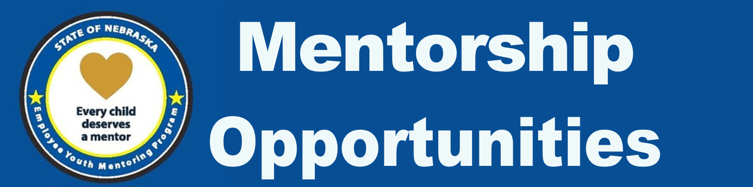  mentorship opportunities